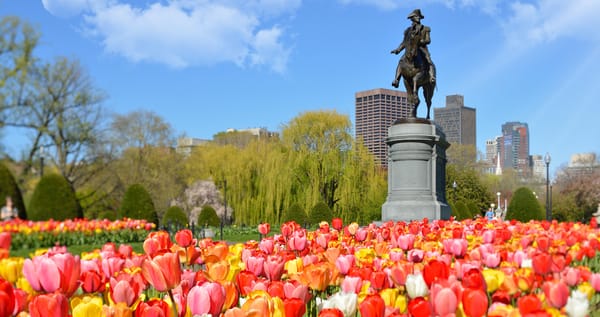 Priority Care Boston Newsletter Spring 2026 Edition